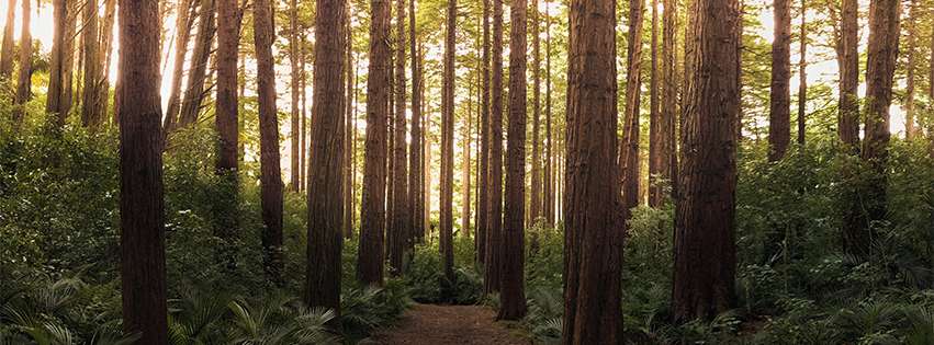 wooden sheet design | Alumaze