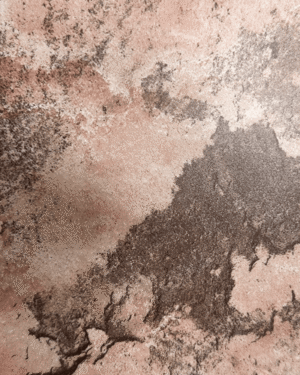 Sienna Stone AM-4006 ACP Sheet by Alumaze