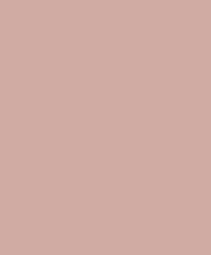 PASTEL GRAYISH ROSE