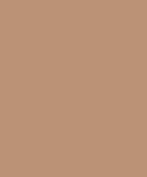 PASTEL SHADOW